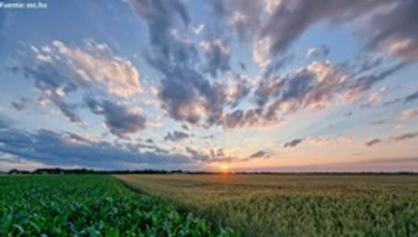 Paisaje de verano Paisaje de verano