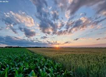 Paisaje de verano Paisaje de verano