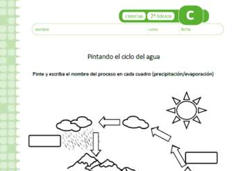 Pintando el ciclo del agua Pintando el ciclo del agua