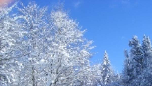 Actividades de invierno en la nieve Actividades de invierno en la nieve