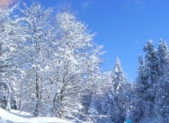 Actividades de invierno en la nieve Actividades de invierno en la nieve