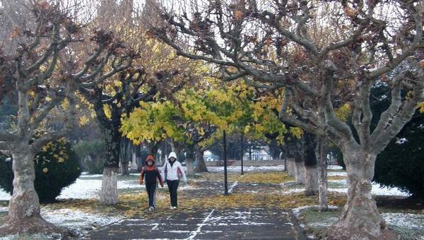 Nieve en Curacautín Nieve en Curacautín