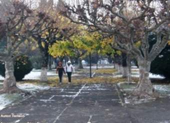 Nieve en Curacautín Nieve en Curacautín