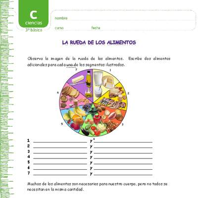 La rueda de los alimentos La rueda de los alimentos