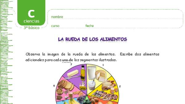 La rueda de los alimentos La rueda de los alimentos