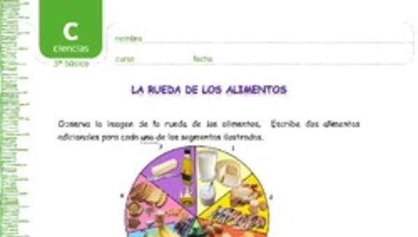 La rueda de los alimentos La rueda de los alimentos