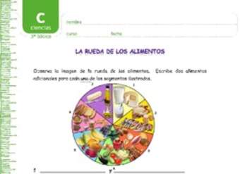 La rueda de los alimentos La rueda de los alimentos