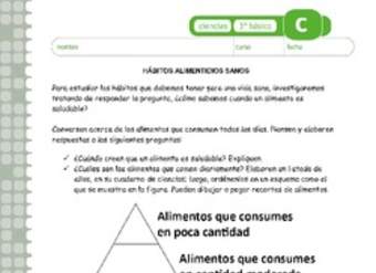 Hábitos alimenticios sanos Hábitos alimenticios sanos