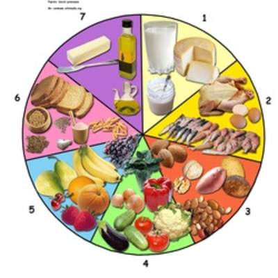 La rueda de los alimentos La rueda de los alimentos