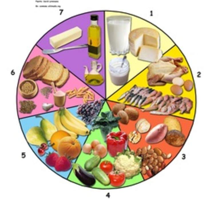 La rueda de los alimentos La rueda de los alimentos