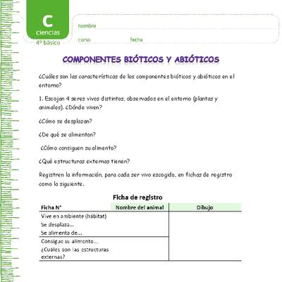 Componentes bióticos y abióticos en un ecosistema Componentes bióticos y abióticos en un ecosistema