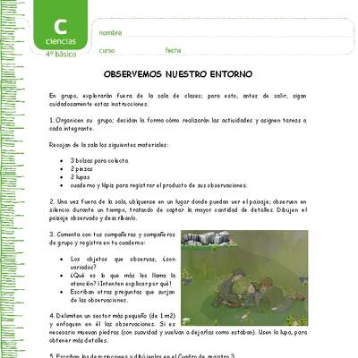 Observemos nuestro entorno Observemos nuestro entorno