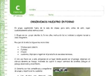 Observemos nuestro entorno Observemos nuestro entorno