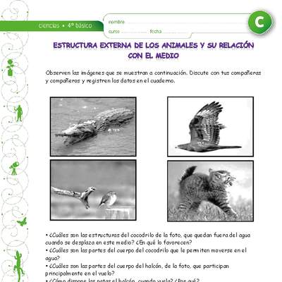 Estructura corporal de animales relacionados con su medio Estructura corporal de animales relacionados con su medio