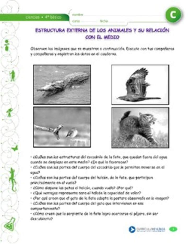 Estructura corporal de animales relacionados con su medio Estructura corporal de animales relacionados con su medio