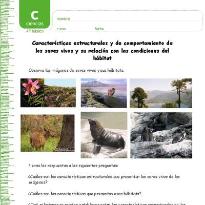 Los organismos y su relación con su entorno Los organismos y su relación con su entorno