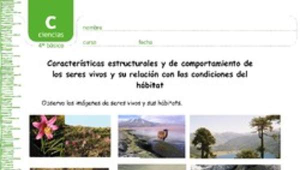 Los organismos y su relación con su entorno Los organismos y su relación con su entorno