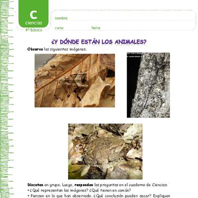 Tipos de camuflaje Tipos de camuflaje