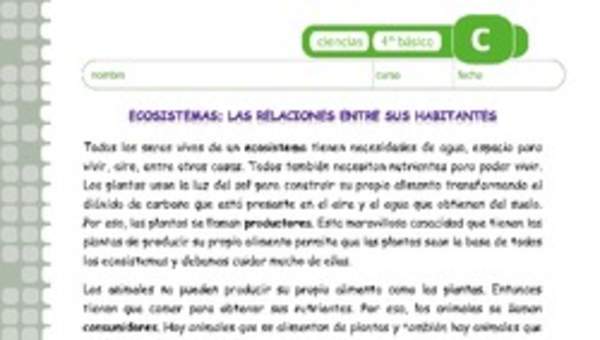 Relaciones en los ecosistemas Relaciones en los ecosistemas