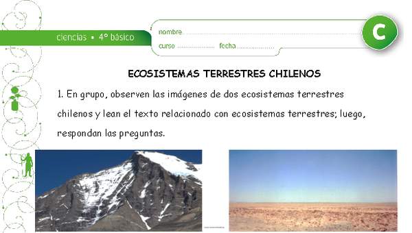 Ecosistemas chilenos Ecosistemas chilenos