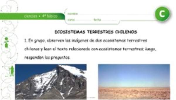 Ecosistemas chilenos Ecosistemas chilenos