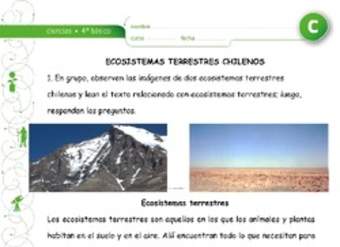 Ecosistemas chilenos Ecosistemas chilenos