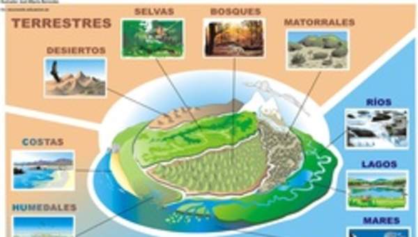 Tipos de ecosistemas Tipos de ecosistemas