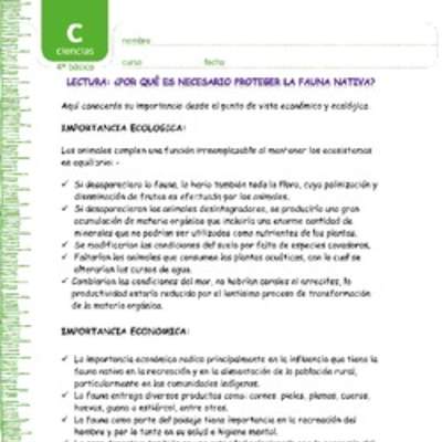 Protección fauna chilena Protección fauna chilena