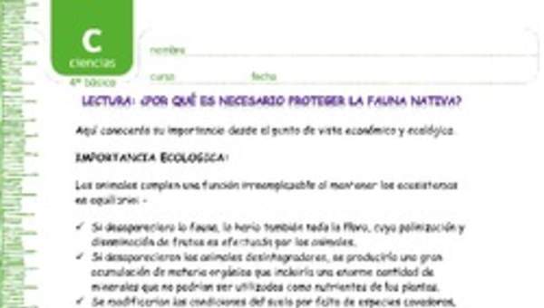 Protección fauna chilena Protección fauna chilena