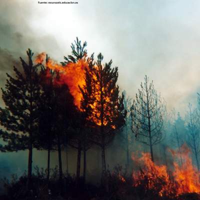 Incendio forestal Incendio forestal