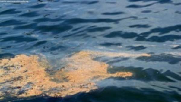 Contaminación aguas petróleo Contaminación aguas petróleo