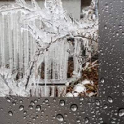 Congelamiento en rama de árbol Congelamiento en rama de árbol