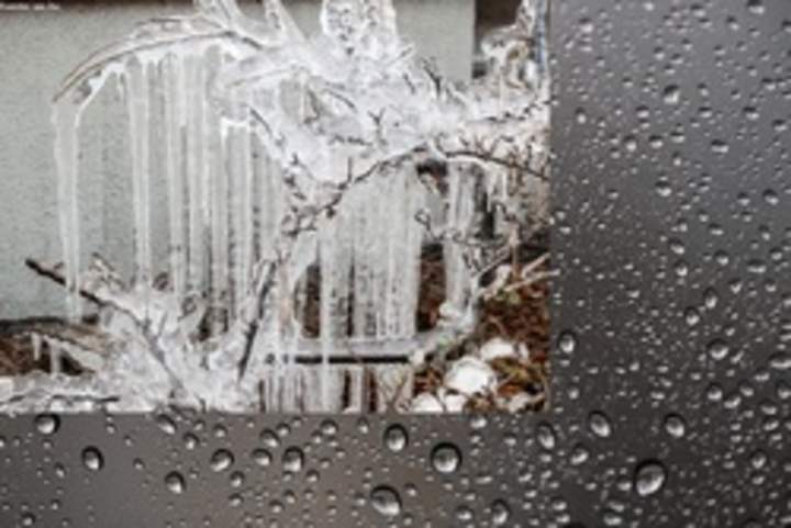 Congelamiento en rama de árbol Congelamiento en rama de árbol