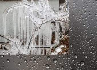 Congelamiento en rama de árbol Congelamiento en rama de árbol