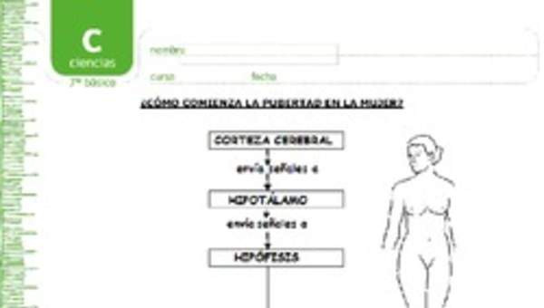 Pubertad en la mujer Pubertad en la mujer