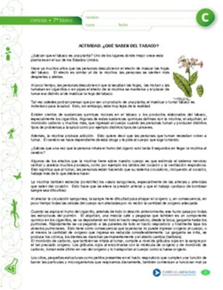 Que saben del tabaco Que saben del tabaco