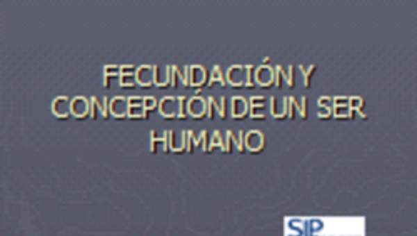 Fecundación y concepción de un ser humano Fecundación y concepción de un ser humano