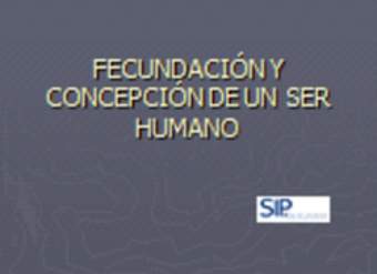 Fecundación y concepción de un ser humano Fecundación y concepción de un ser humano