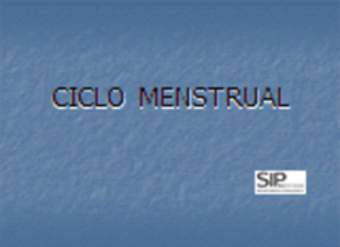 Ciclo menstrual Ciclo menstrual