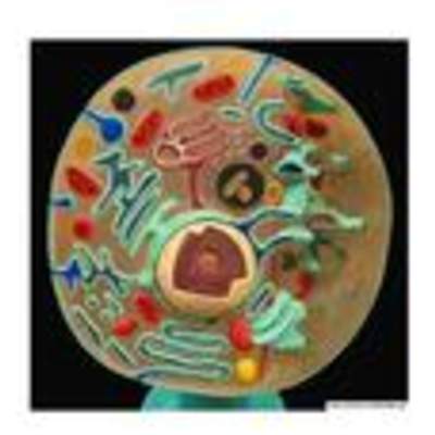 Célula en 3D Célula en 3D