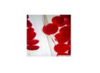 Glóbulos rojos Glóbulos rojos