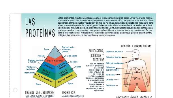 Proteínas Proteínas