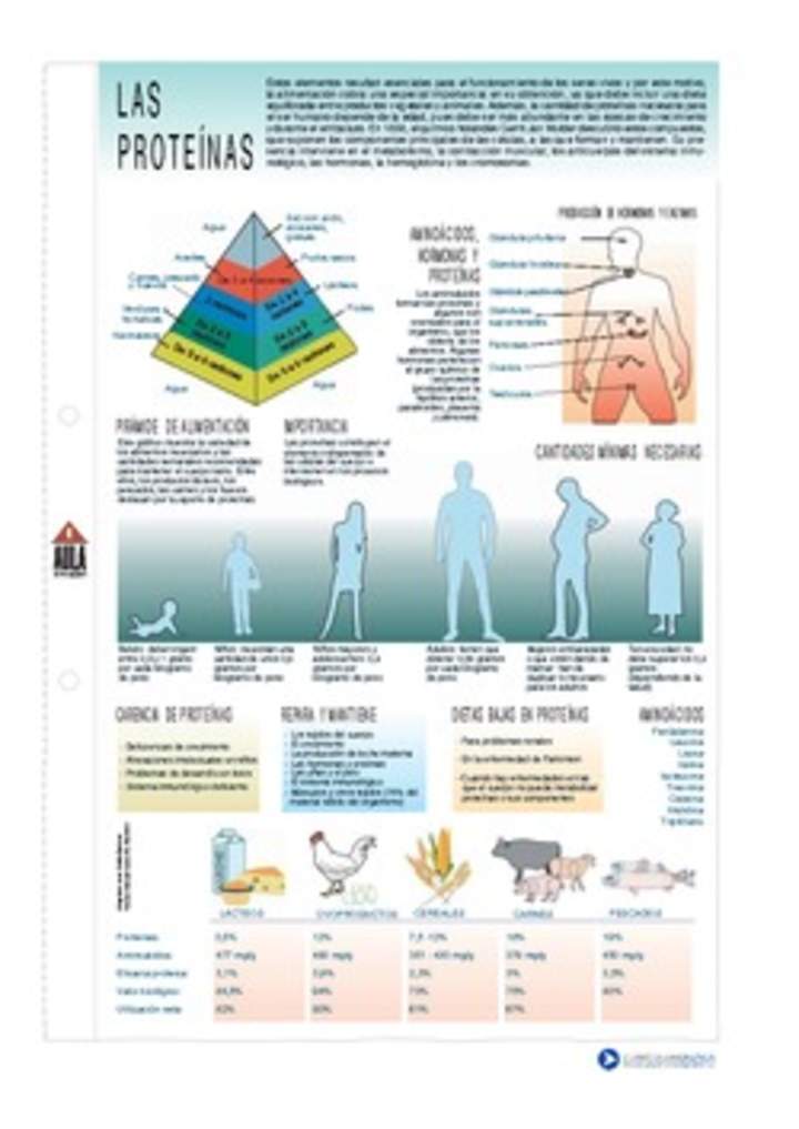 Proteínas Proteínas