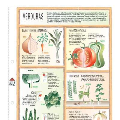 Verduras y legumbres Verduras y legumbres