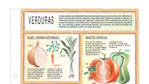 Verduras y legumbres Verduras y legumbres