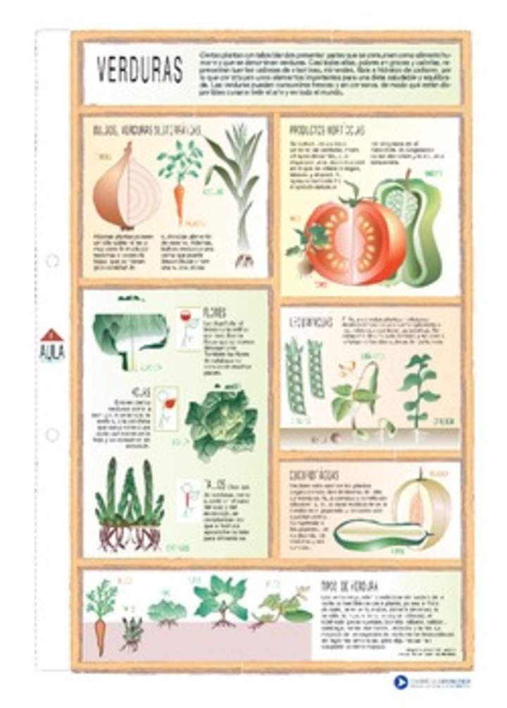 Verduras y legumbres Verduras y legumbres