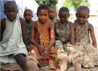 Niños de Senegal Niños de Senegal