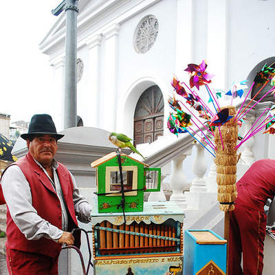 Organillero Organillero