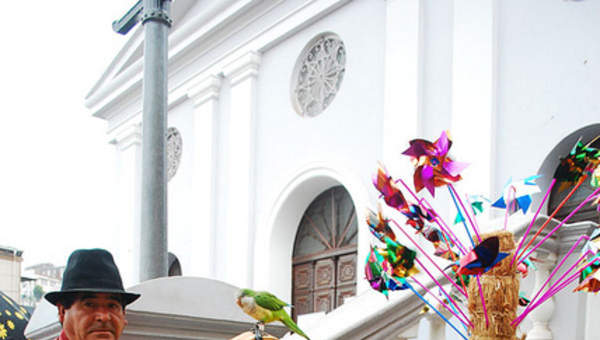 Organillero Organillero