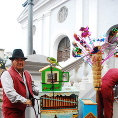 Organillero Organillero